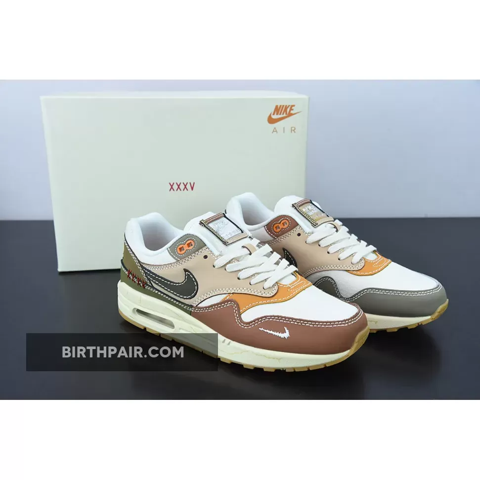 Nike Air Max 1 Air Max Day 35th Anniversary DQ8656-133 air max 1 wabi sabi